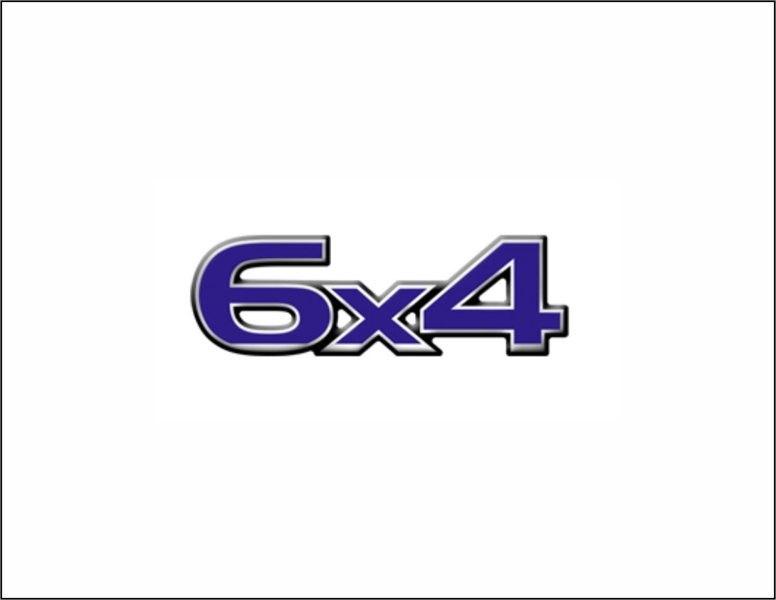 PL0961 - EMBLEMA RESINADO CARGO 6X4 PORTA AZUL 265MM X 95MM